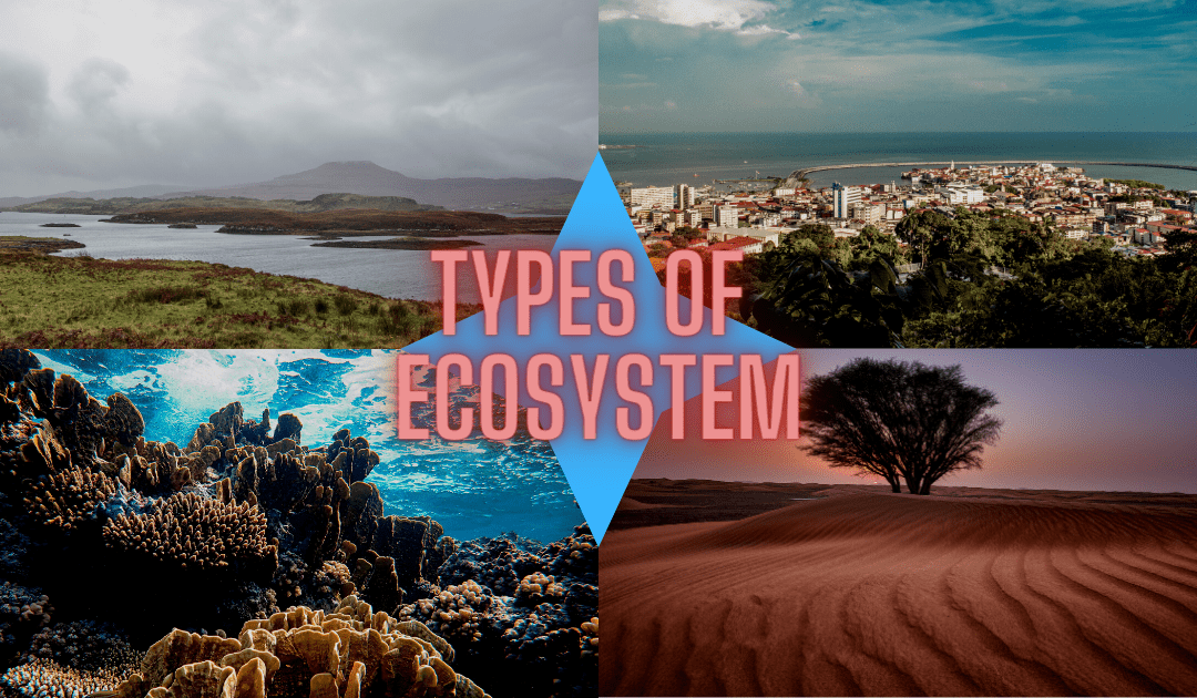 Types Of Ecosystem image